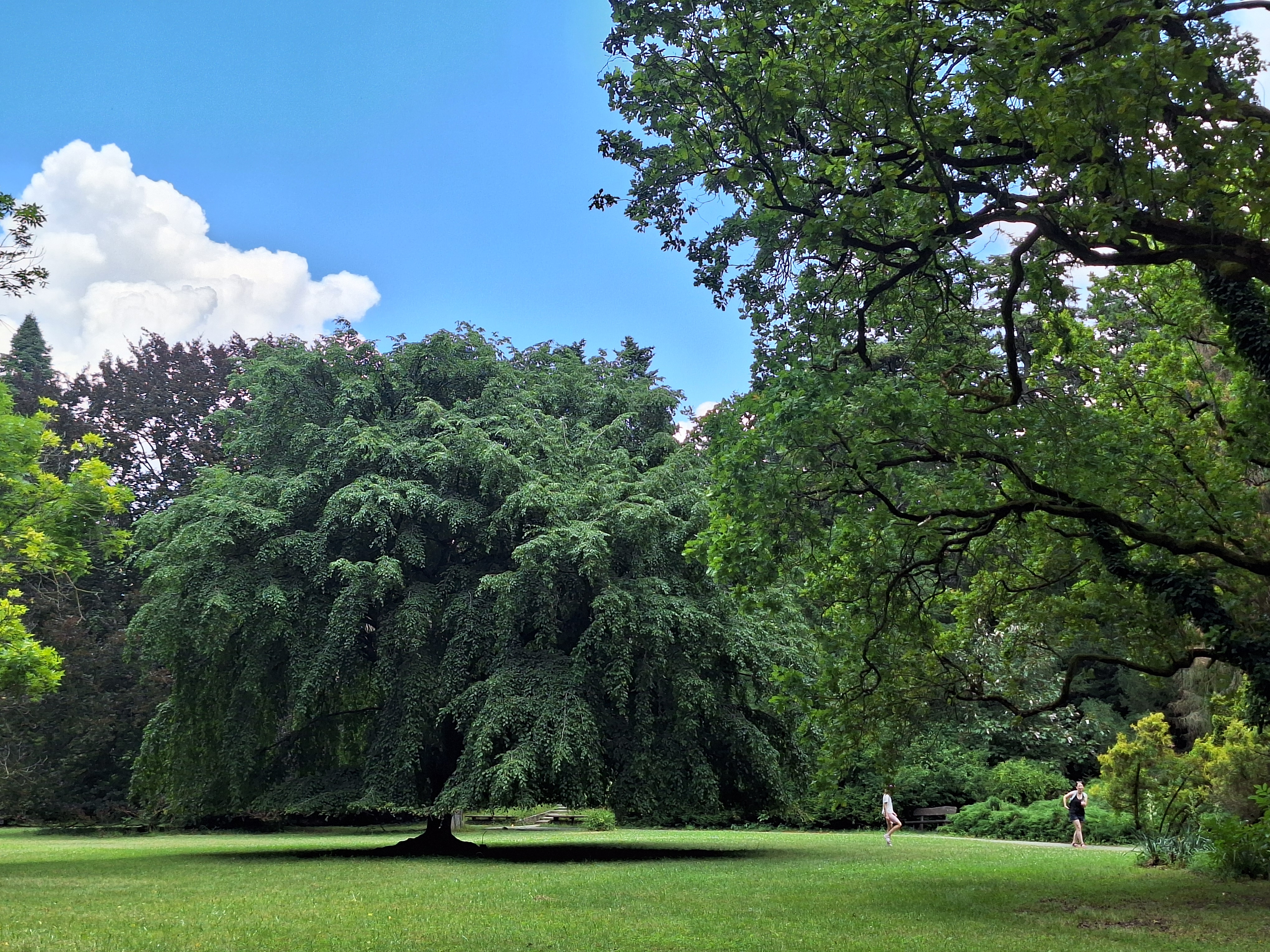 Szarvasi Arborétum – 1. kép