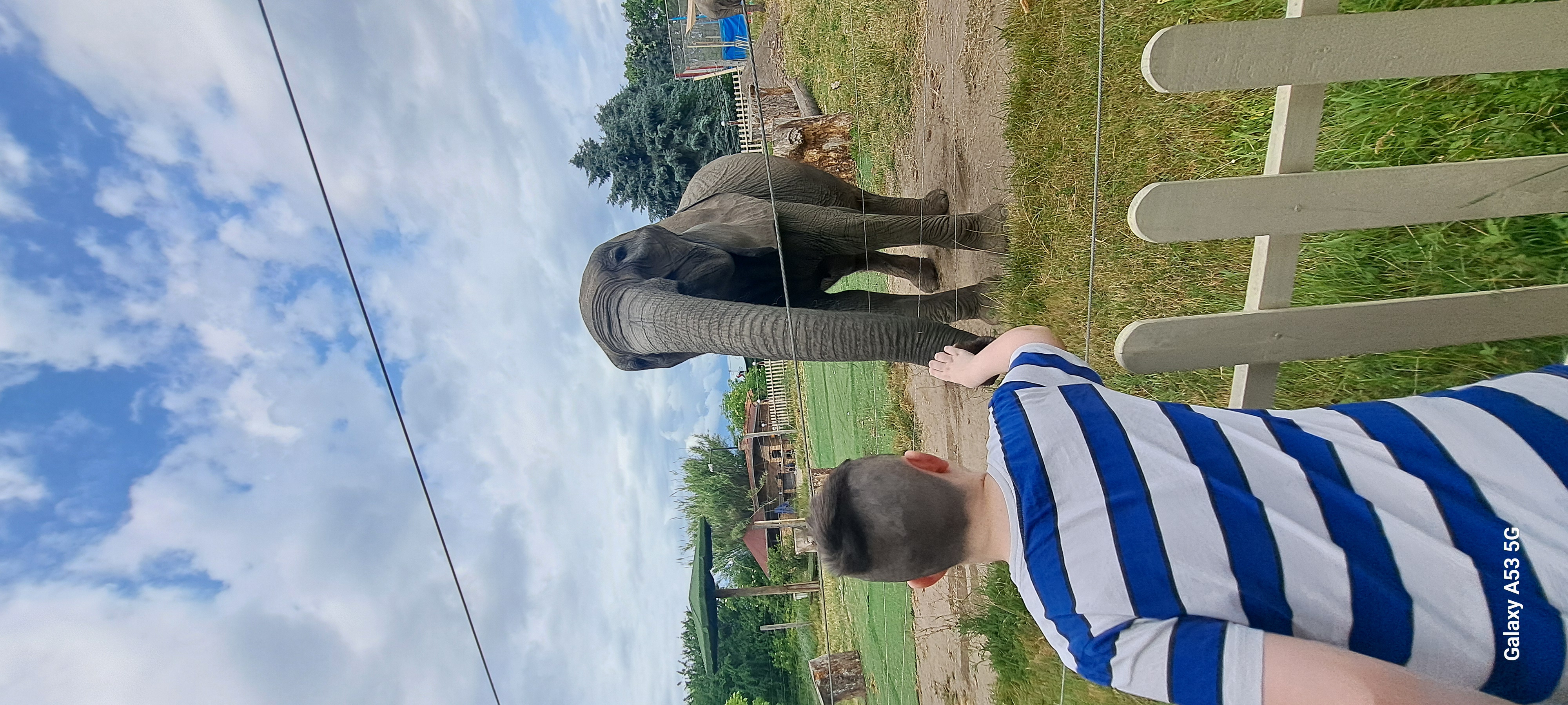 Kimba Elephant Park – 1. kép
