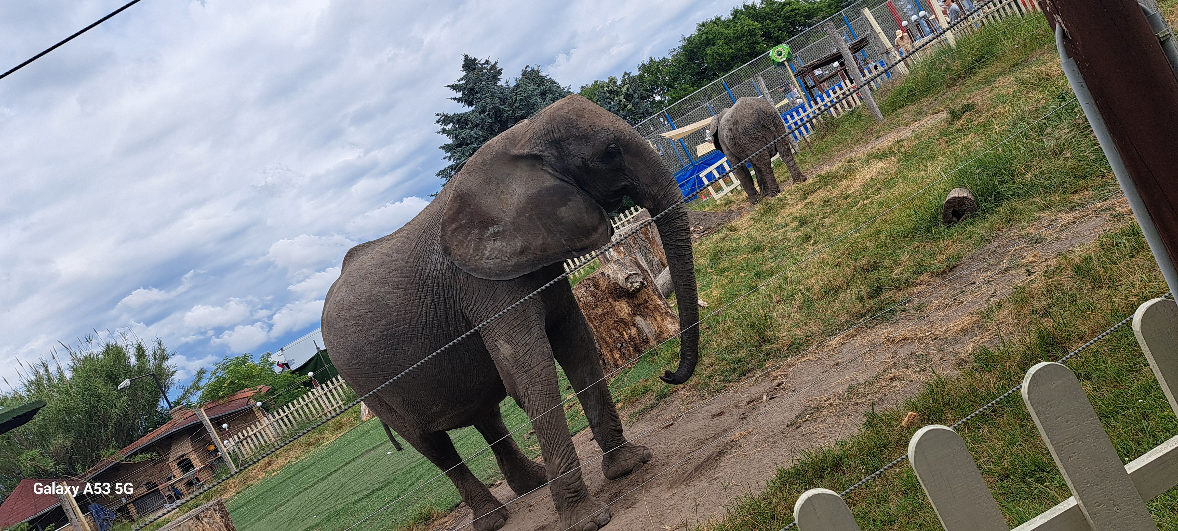 Kimba Elephant Park – 3. kép